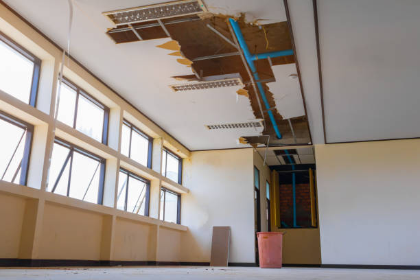 Best Carpet water damage restoration  in Madisonville, LA