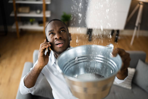 Reliable Madisonville, LA Water damage restoration Solutions