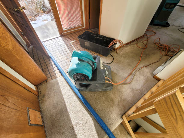 24/7 water damage repair in Madisonville, LA