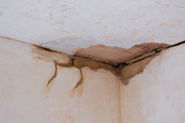 Best Water damage cleanup near me  in Madisonville, LA