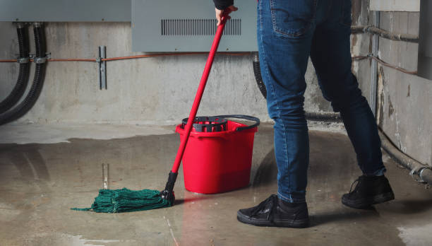 Best Water damage restoration near me  in Madisonville, LA