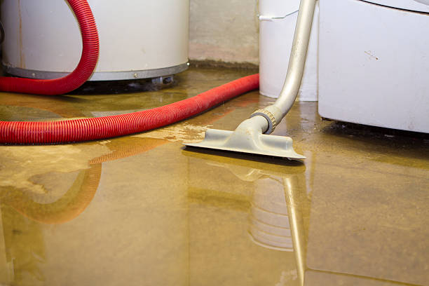 Best Water damage restoration insurance claims  in Madisonville, LA