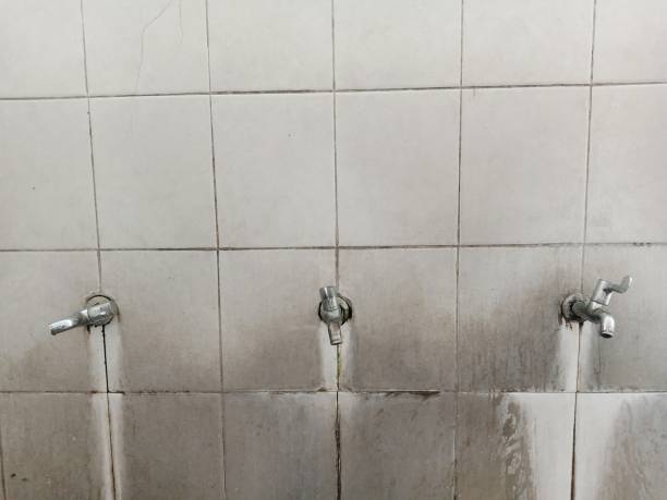 Best Water damage restoration near me  in Madisonville, LA