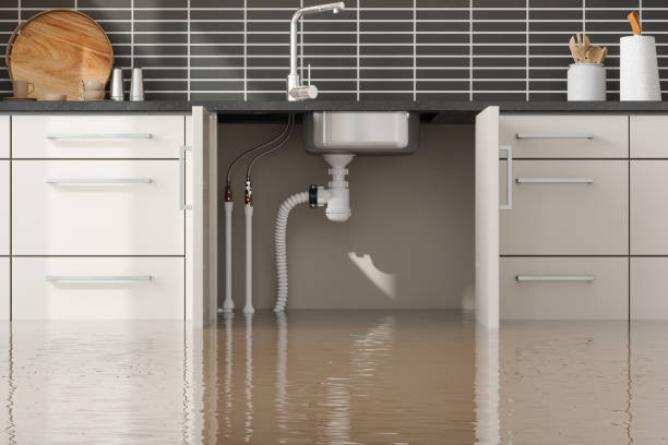 Best Water damage restoration process  in Madisonville, LA
