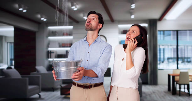 Best Fire Damage Restoration  in Madisonville, LA